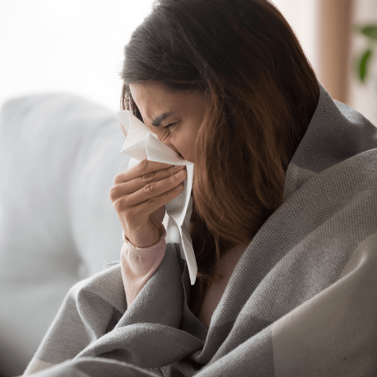 Immune System | GutandHealth.co.uk