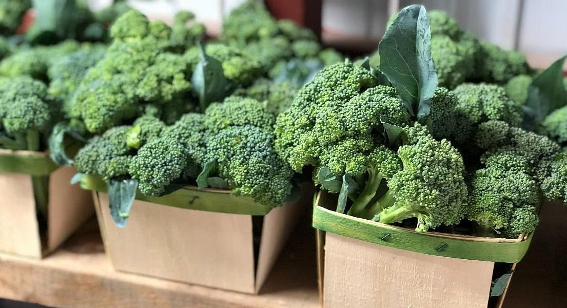 The Powerful Benefits of Broccoli For Overall Health